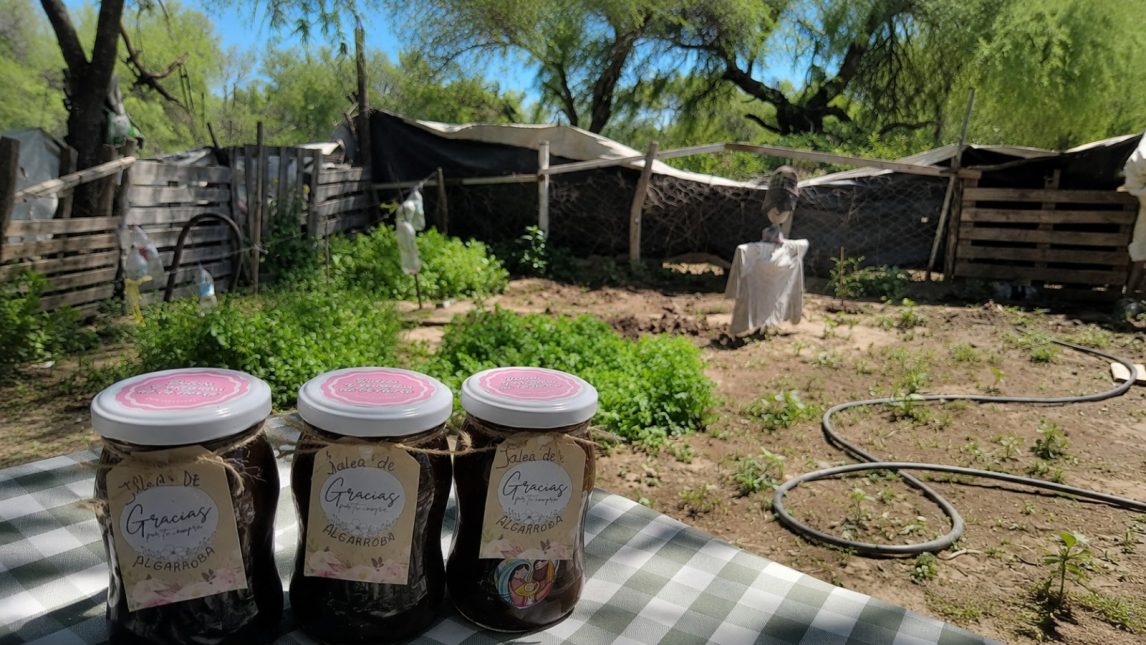 Día de la Pachamama | En diálogo con la Madre Tierra, sentires y pensares del “buen vivir”