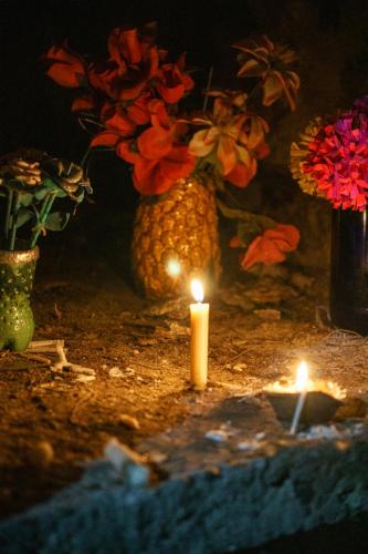 La Alumbrada desde adentro: Tradición que une el mundo de los vivos y los muertos