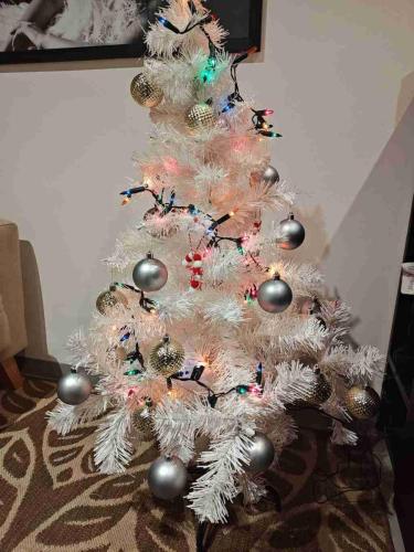 La Navidad en Casa: Así Brillan los Arbolitos de Nuestros Lectores