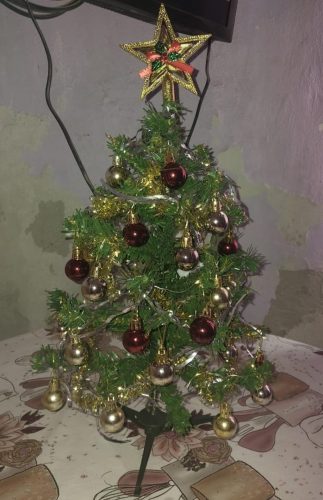 Los arbolitos del sorteo navideño de Info del Estero